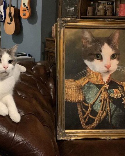 askeri van kedi tablosu