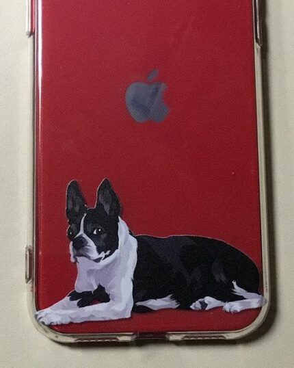 The Personalized Transparent Phone Case features a red background and an illustration inspired by custom pet canvas art—a black and white dog lying at the bottom left beneath the Apple logo.