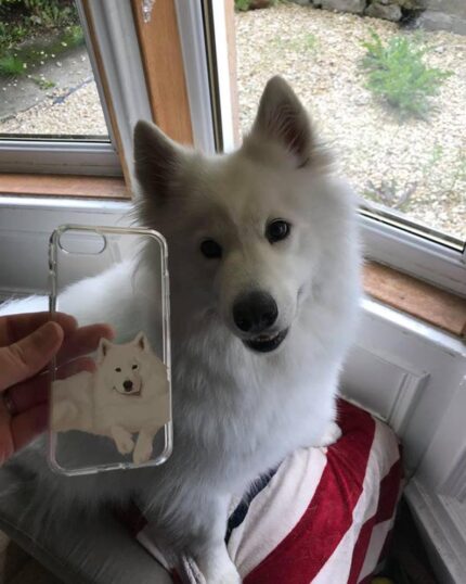 A fluffy white dog sits on a red and white blanket by a window. A hand holds a Personalized Transparent Phone Case featuring an illustration of the same dog—perfect inspiration for your own custom pet design!.