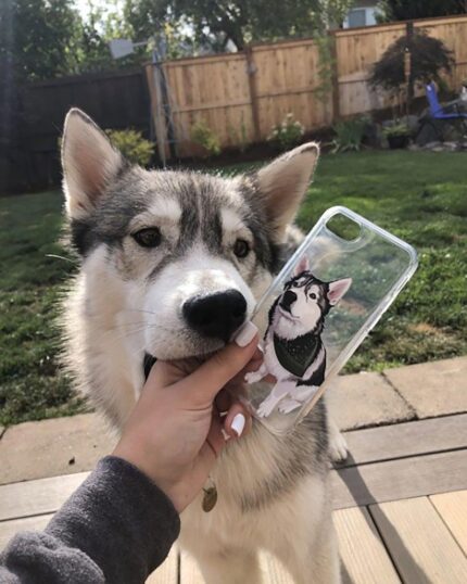 Custom Pet Design Transparent Phone Cases