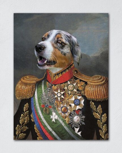 avustralya çoban köpek tablosu