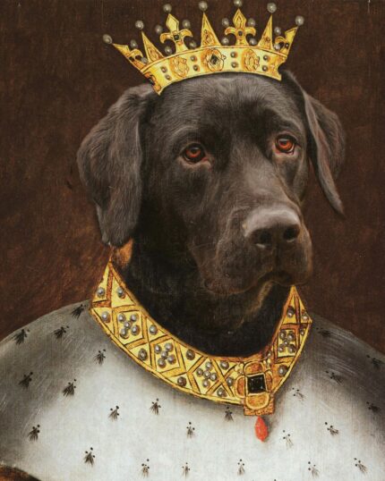 kral kahverengi labrador tasarım