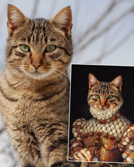 özel tasarım kedi tablosu