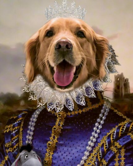 kraliçe kostümlü golden retriever