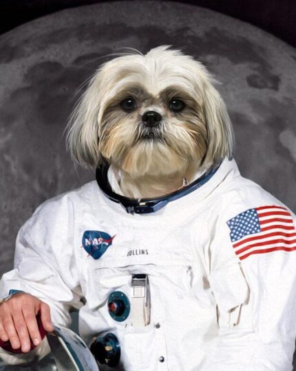 shihtzu köpek astronot kanvas tablo