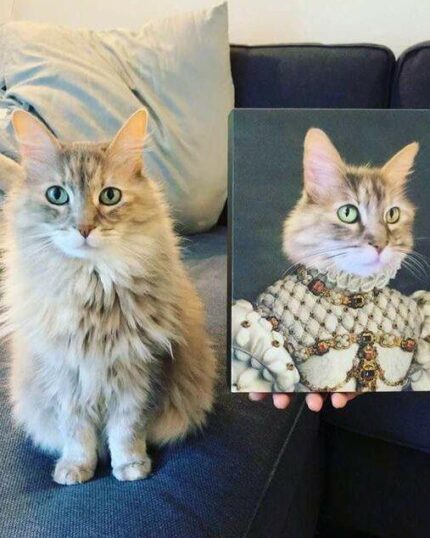 kraliçe kedi tablosu