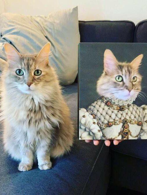 kraliçe kedi tablosu