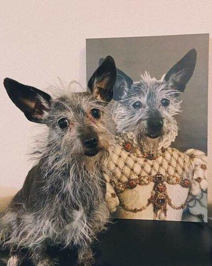 A small, scruffy gray dog sits before "The Queen #6 (with Color Option) - Custom Design Pet Canvas," featuring its painted portrait in royal attire with a jeweled robe. The dog gazes at the camera, head slightly tilted.