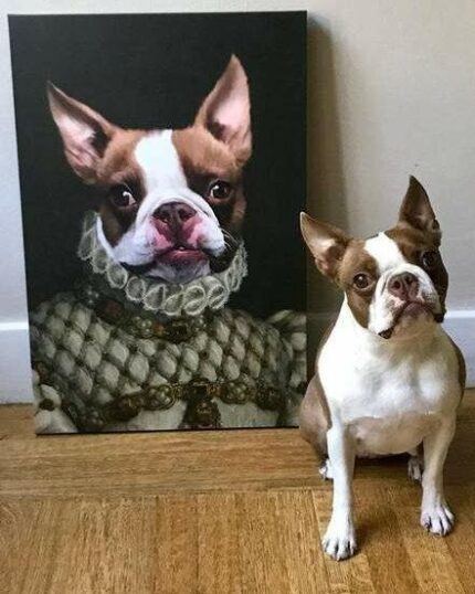 A Boston Terrier sits on a wooden floor beside "The Queen #6 (with Color Option) - Custom Design Pet Canvas," featuring the dog in vintage royal attire with a ruffled collar, striking the same regal pose as in the portrait.