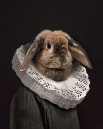 A brown rabbit with long ears wears historical attire—a dark green garment and ornate white ruff collar—posed against a dark background in "The Noble Gentleman #3 - Custom Design Canvas Painting.