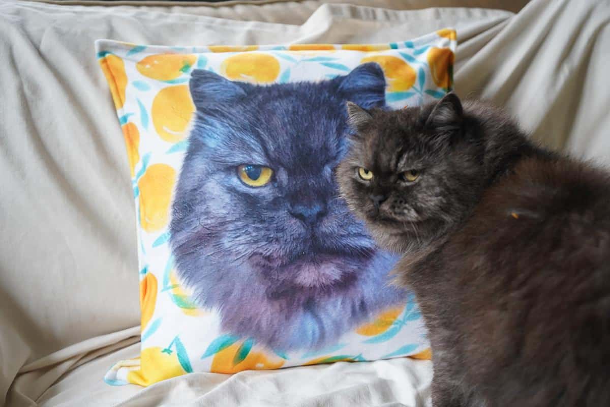 Kedili Yastik kedili yastik