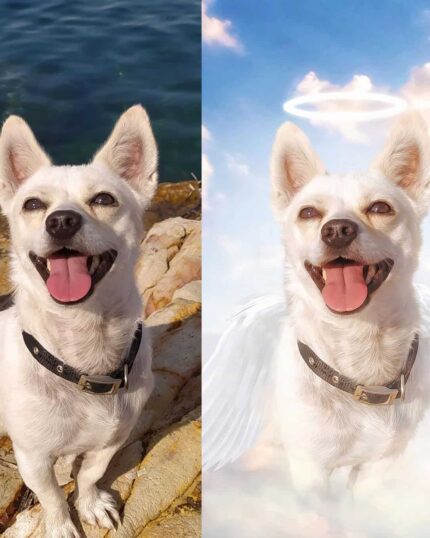 kanatlı melek köpek çizim