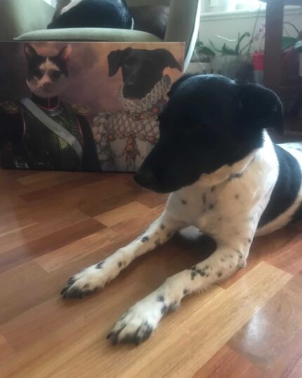 A black and white dog lies on a wooden floor in front of the Multiple Portraits #7 General and Noble Lady pet canvas featuring a cat and dog in royal costumes. Another dog is partially visible on a chair in the background.