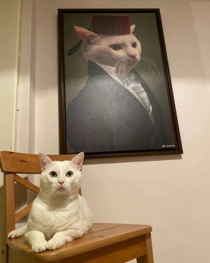 A white cat sits on a wooden chair beneath "The Noble Gentleman #8 - Custom Design Pet Canvas," which shows a similar white cat in historical costume, making it seem like the portrait is of the seated cat.