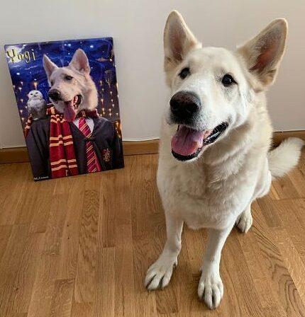 Mutlu bir beyaz köpek, çizgili atkı, kravat ve bir baykuşla büyücü olarak tasvir edilen köpeği resmeden Özel Tasarım Tuval Tablo – Film Karakteri #4 – Harry Potter'ın yanındaki ahşap zeminde oturuyor. Portre beyaz duvara yaslanmış durumda.