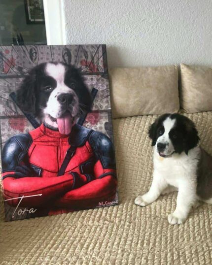 Kabarık siyah beyaz bir köpek yavrusu, özel tasarım kanvas tablonun yanında bej renkli bir kanepede oturuyor – Süper Kahraman #12 – Deadpool, kırmızı süper kahraman kostümü giymiş ve dilini çıkarmış köpek yavrusu, kişiselleştirilmiş kanvas sanatının cazibesini sergiliyor.