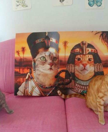 Two cats sit on a pink couch next to their "Multiple Portraits #10 Nefertiti and Ramses" custom pet canvas, featuring them as royal felines with headdresses. The real cats mimic the regal poses in their unique artwork.