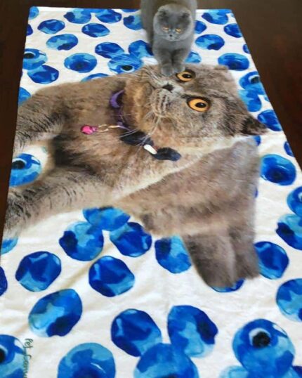 A gray cat sits on the Custom Design 3D Printed Beach Towel – Blueberry, which features a large image of a similar gray cat among blue flowers, making it look like the real cat is part of the artwork.