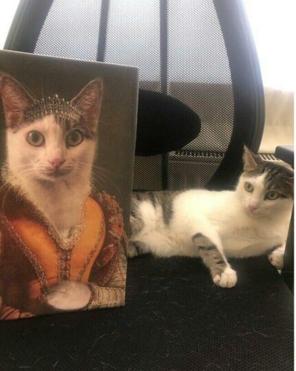 A white and gray cat lounges on a black chair next to "The Noble Lady #8 - Custom Design Pet Canvas," which features the cat in regal, historical attire with a jeweled crown—both sharing matching expressions.