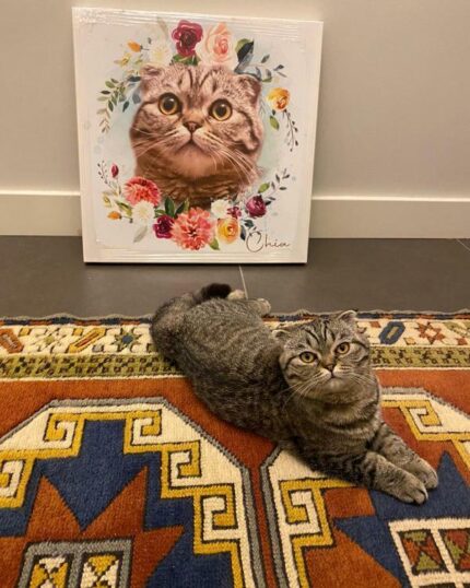 çiçek halkalı evcil hayvan tablosu