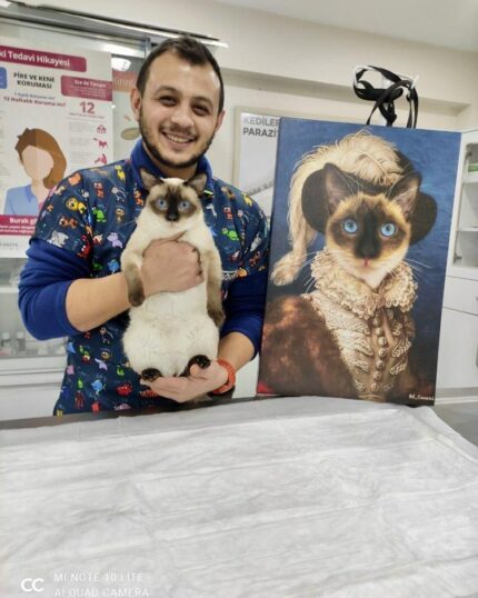 Asil Siyam Kedi Tablosu PetCanvas