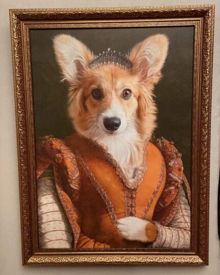 Kontes Corgi Tablosu Benny