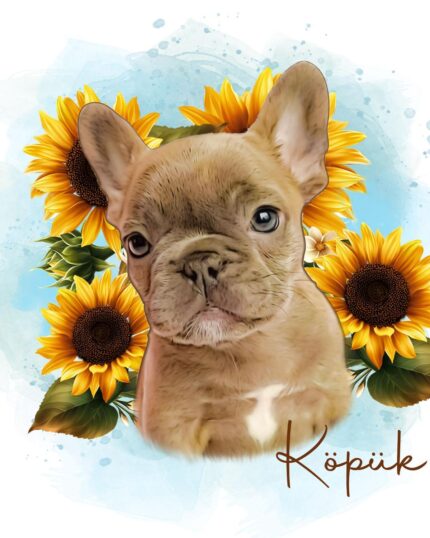 A digital illustration of a brown French Bulldog puppy in front of bright yellow sunflowers on a light blue background, with the word Köpiik in cursive at the bottom right—a charming custom design pet canvas for dog lovers.