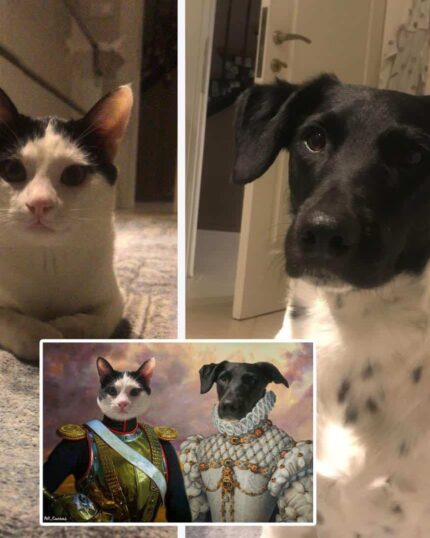 On the left, a black and white cat lounges on a rug; on the right, a black and white dog sits on the floor. In between, the Multiple Portraits #7 General and Noble Lady custom canvas features both pets in regal royal costumes.