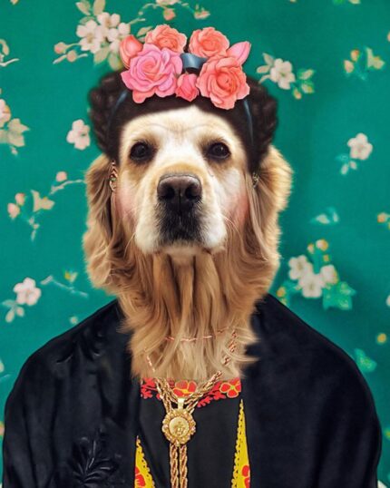 frida golden retriever köpek tablosu