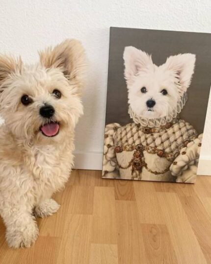 beyaz şirin maltese kraliçe tablo