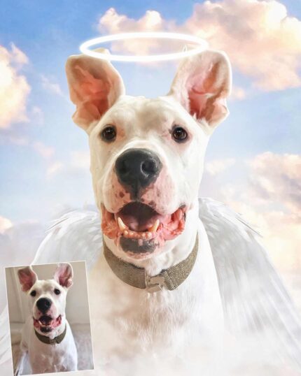 melek kanekorso tablo