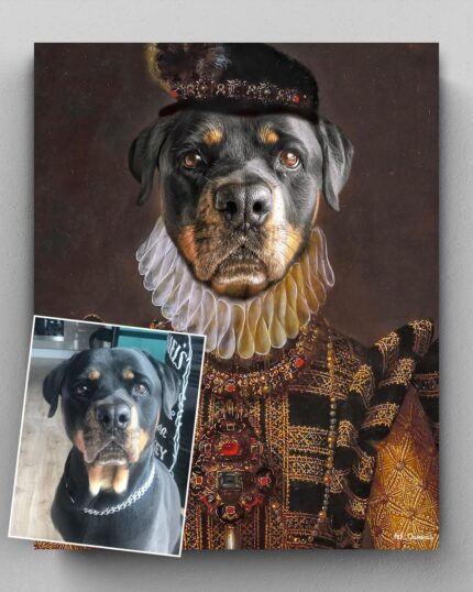 deniz nassur moyo rottweiller