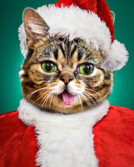 A person in a red and white Santa suit has a cat’s face with green eyes and tongue out, set against a green background. The Special Design Canvas Painting – Cartoon #4 Christmas Cat is a quirky, festive piece perfect for the holidays!.
