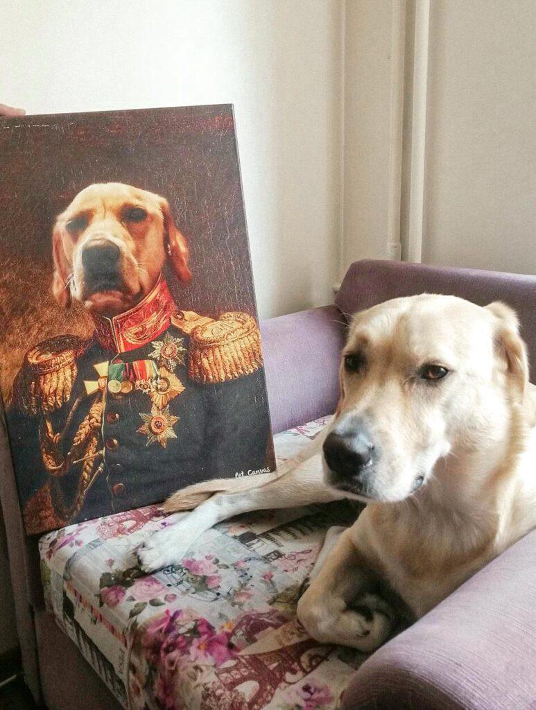 Rönesans Esintili General Köpek Tablosu