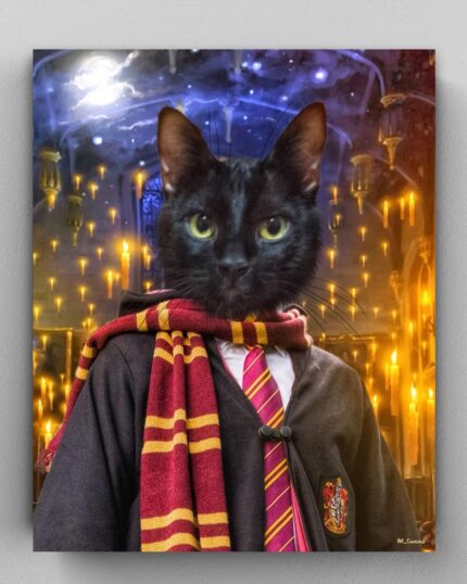 harry potter büyücü kara kedi