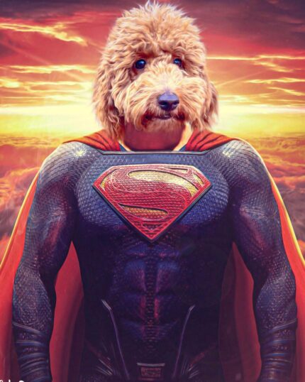 A curly brown dog with blue eyes is edited onto Superman’s body with a red cape and “S” emblem on the Custom Design Canvas Painting – Super Hero #1 – Superman, set against a dramatic sunset sky.