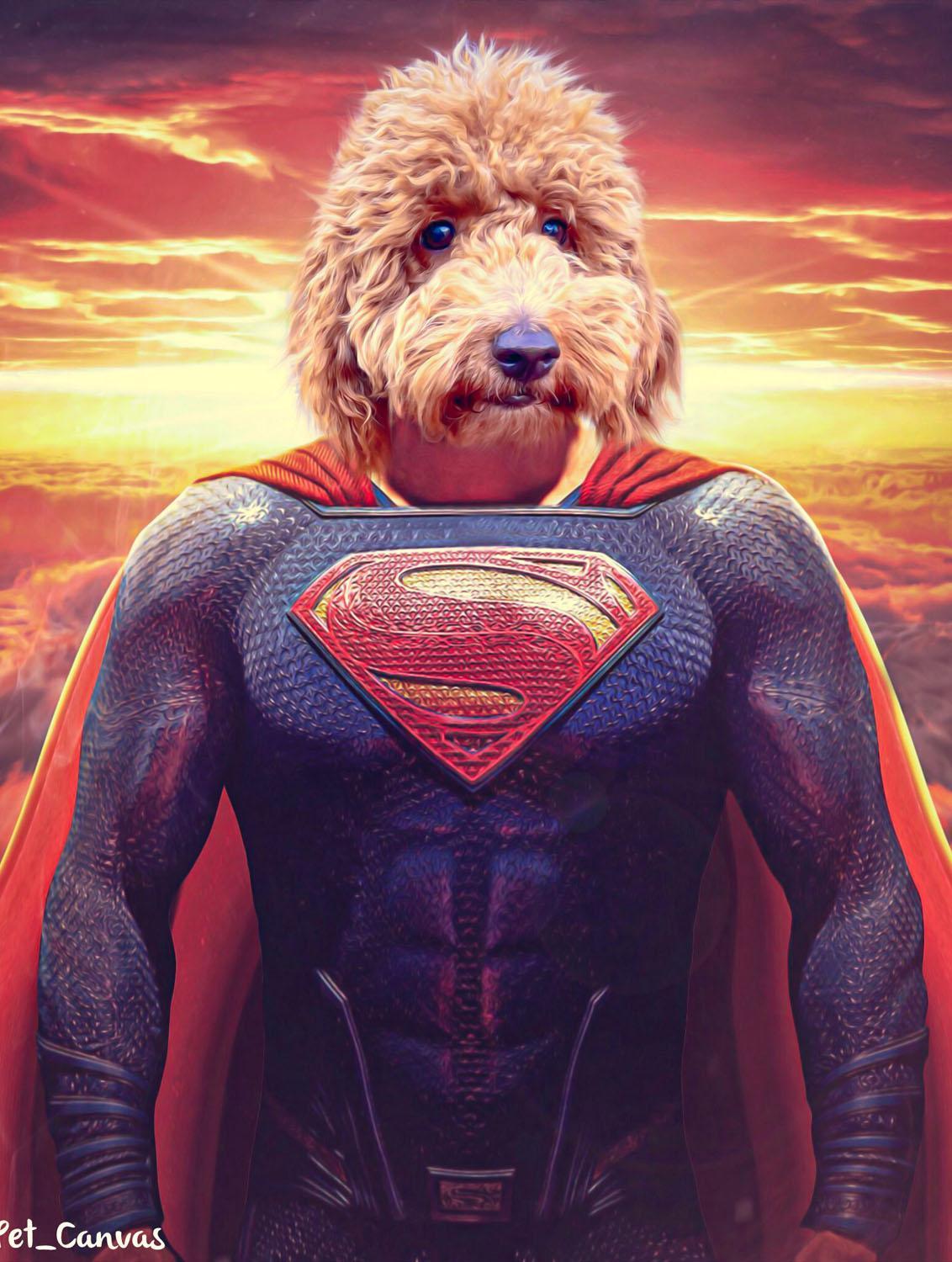 A Curly Brown Dog With Blue Eyes Is Edited Onto Superman’s Body With A Red Cape And “S” Emblem On The Custom Design Canvas Painting – Super Hero #1 – Superman, Set Against A Dramatic Sunset Sky. A curly brown dog with blue eyes is edited onto Superman’s body with a red cape and “S” emblem on the Custom Design Canvas Painting – Super Hero #1 – Superman, set against a dramatic sunset sky.