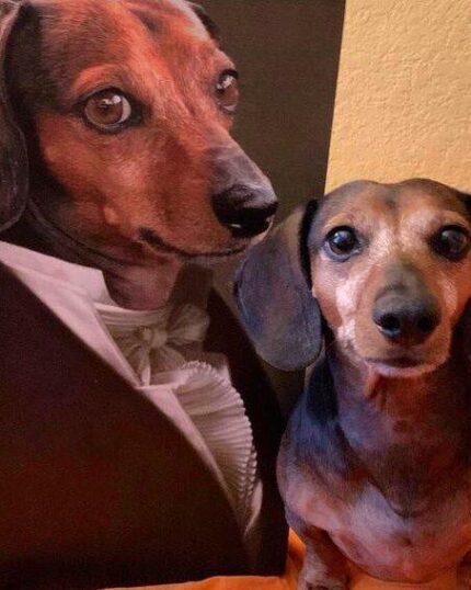 A dachshund sits beside The Noble Gentleman #8 - Custom Design Pet Canvas, displaying its portrait in a suit and bow tie. Both the dog and the canvas mirror each other’s pose and charming expression.
