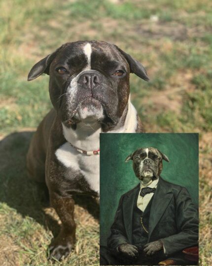 Siyah beyaz bir köpek açık havada çimlerin üzerinde oturuyor; önünde ise Custom Design Canvas Painting – Famous People #7 – Abraham Lincoln adlı tablo var. Tabloda köpek, yeşil arka plan üzerinde takım elbise ve papyon giymiş, saygın bir figür olarak tasvir ediliyor.