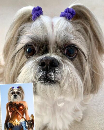 A fluffy white and gray dog with purple hair ties poses by a Custom Design Canvas Painting – Super Hero #10 – Wonder Woman, featuring the same dog digitally edited in Wonder Woman’s armor and tiara.