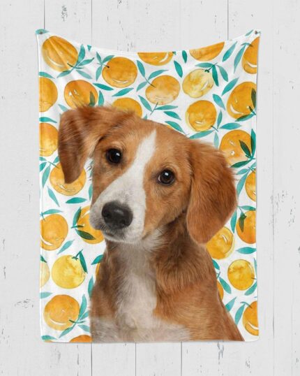 A brown and white dog with floppy ears poses before a playful backdrop of illustrated oranges and leaves, showcasing the Custom Design Pop-Art Blanket – Watermelon—perfect for celebrating your furry friend with a unique, vibrant touch.