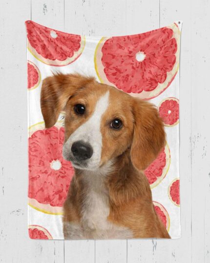 A brown and white floppy-eared dog looks forward against a backdrop of watermelon slices on a white wall—perfect for a unique Custom Design Pop-Art Blanket – Watermelon.