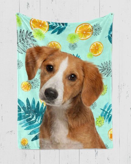 A brown and white dog with floppy ears looks forward on a light blue background filled with tropical leaves and watermelon slices, making it perfect for a Custom Design Pop-Art Blanket – Watermelon.