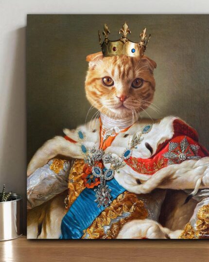 sarı scottish kedi kral tablosu