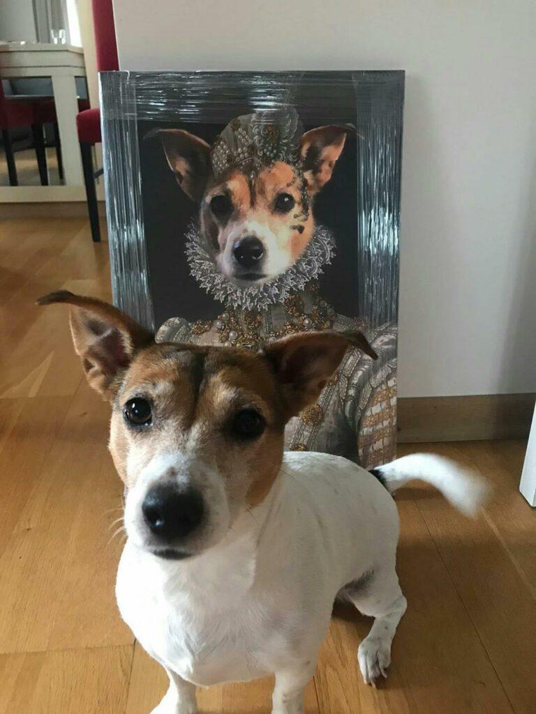 Custom Pet Canvas Paintings: From General Cats To King Dogs, Queen Rabbits 15 IMG 20200623 145309 467
