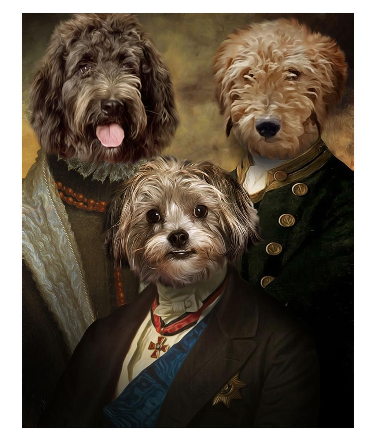 Asil Evcil Hayvan Tabloları