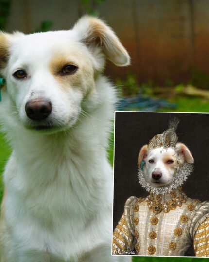 Evcil Hayvanlı rönesans portre tasarım öncesi ve sonrası