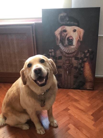 Custom Pet Canvas Paintings: From General Cats To King Dogs, Queen Rabbits 2 sevimliii