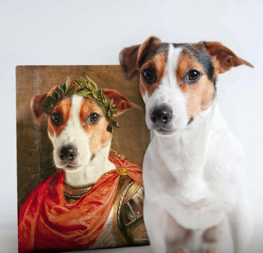 Sezar kostümlü jack russel tablo