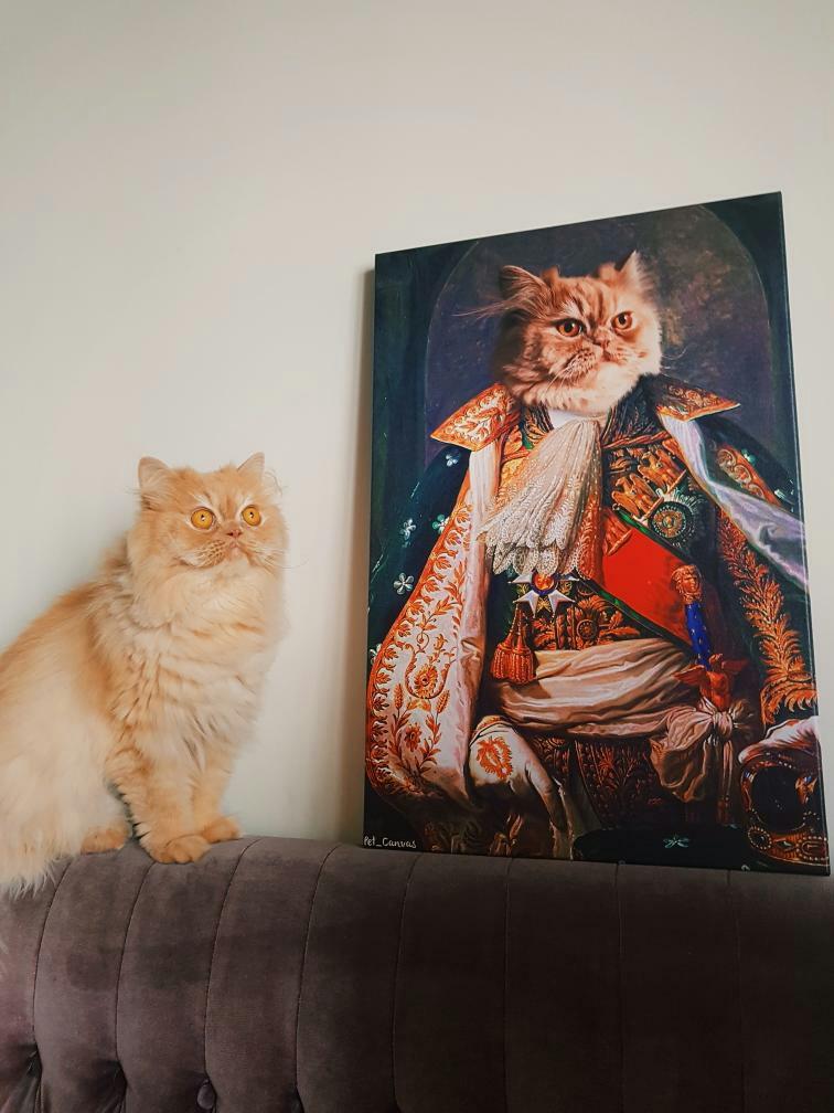 IMG 20200216 181117 089